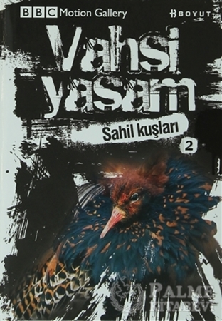 Resim Vahşi Yaşam 2 - Sahil Kuşları