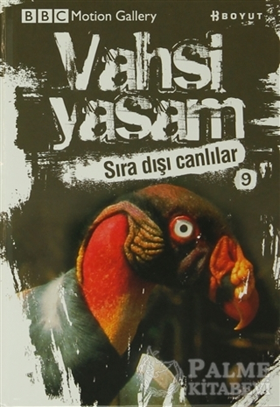 resm Vahşi Yaşam 2 - Sıra Dışı Canlılar