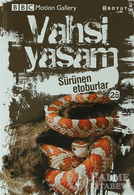 resm Vahşi Yaşam 2 - Sürünen Etoburlar