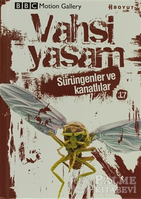 resm Vahşi Yaşam 2 - Sürüngenler ve Kanatlılar