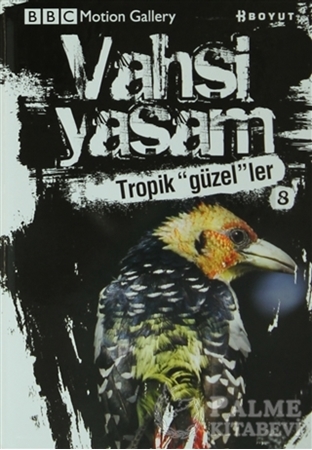 Resim Vahşi Yaşam 2 - Tropik Güzeller