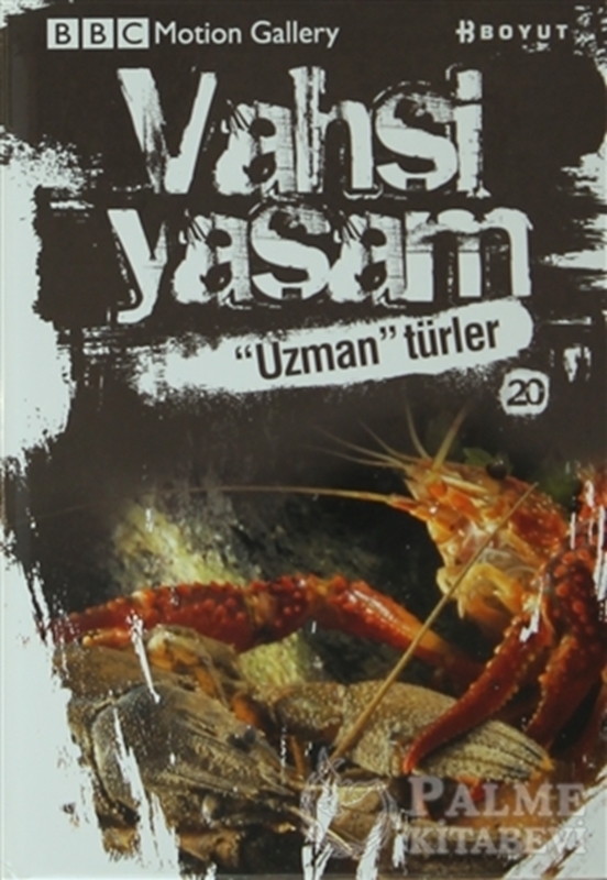 resm Vahşi Yaşam 2 - Uzman Türler