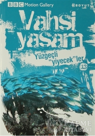 Resim Vahşi Yaşam 2 - Yüzgeçli Yiyecekler