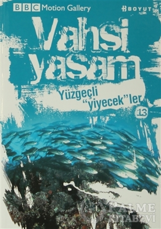 resm Vahşi Yaşam 2 - Yüzgeçli Yiyecekler