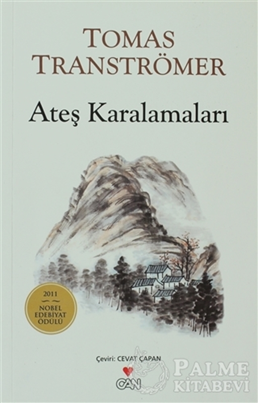 resm Ateş Karalamaları