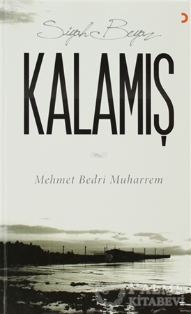 Resim Siyah Beyaz Kalamış