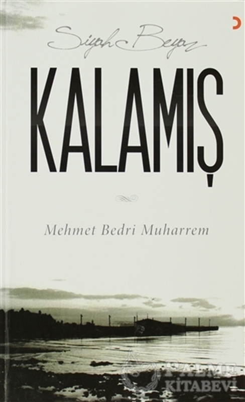 resm Siyah Beyaz Kalamış