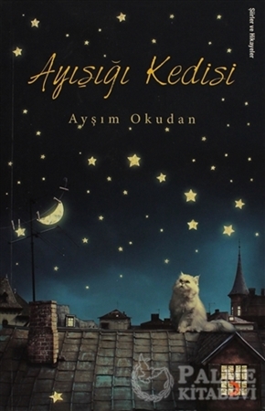 Resim Ayışığı Kedisi