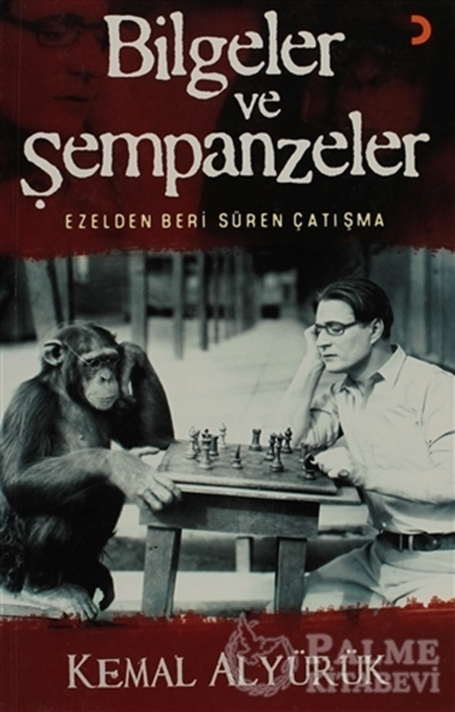 resm Bilgeler ve Şempanzeler