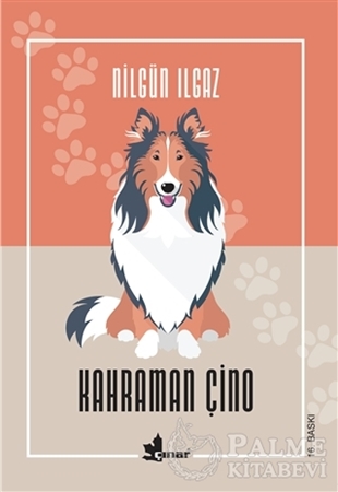 Resim Kahraman Çino