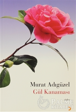 Resim Gül Kanaması