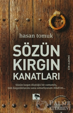 Resim Sözün Kırgın Kanatları