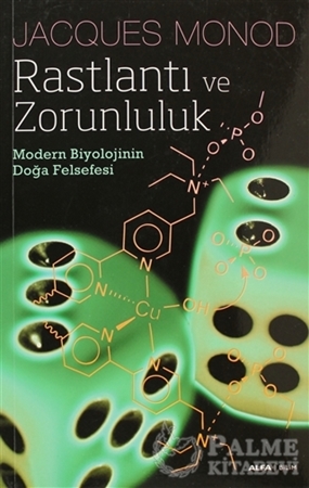 Resim Rastlantı ve Zorunluluk