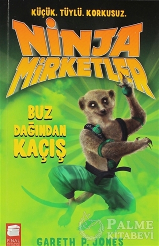 resm Ninja Mirketler - Buz Dağından Kaçış