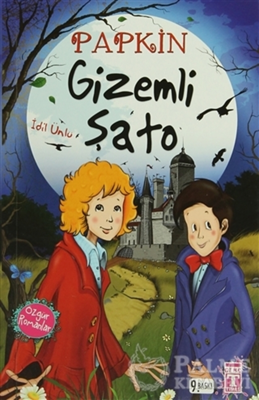 resm Papkin Gizemli Şato