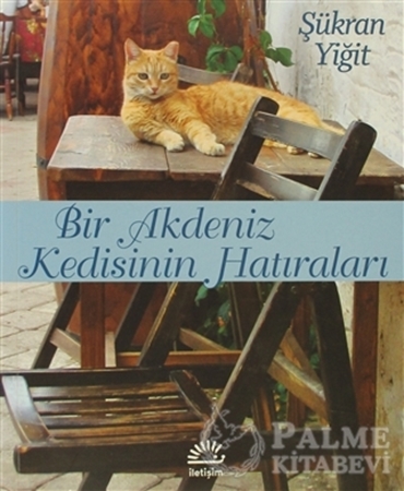 Resim Bir Akdeniz Kedisinin Hatıraları