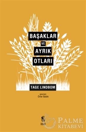 Resim Başaklar ve Ayrık Otları