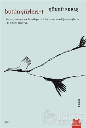 Resim Bütün Şiirleri 1