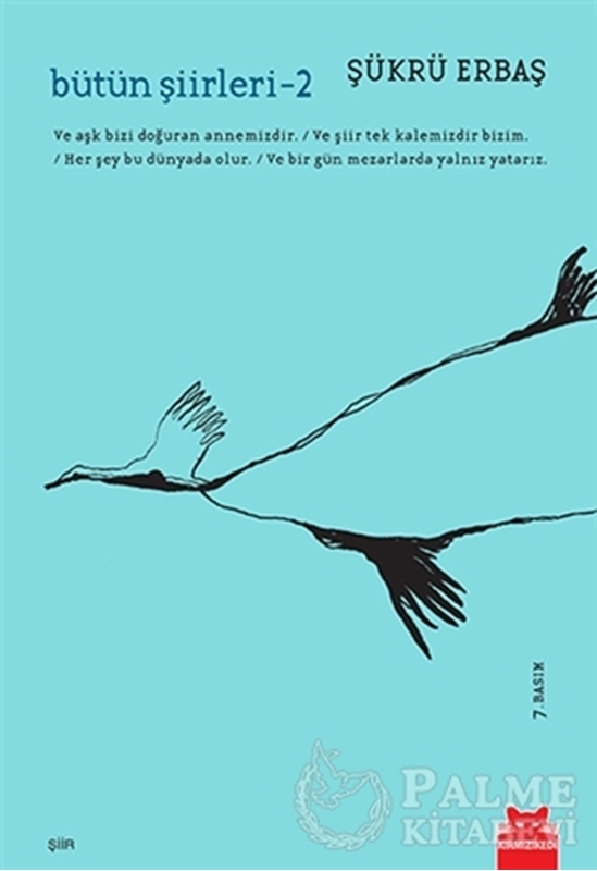 resm Şükrü Erbaş Bütün Şiirleri 2