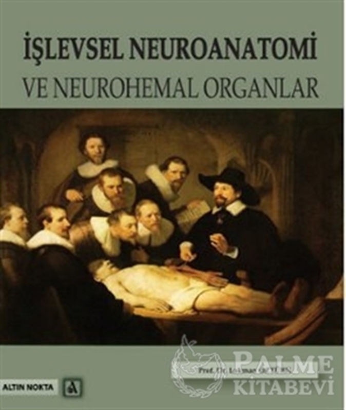 resm İşlevsel Neuroanatomi ve Neurohemal Organlar