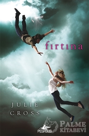 Resim Fırtına