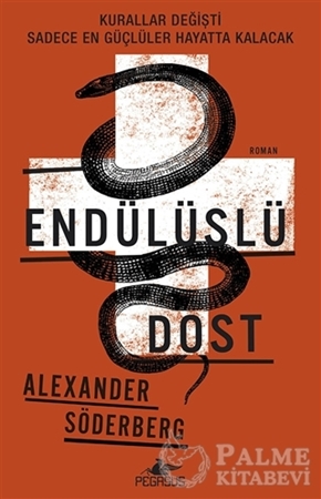 Resim Endülüslü Dost