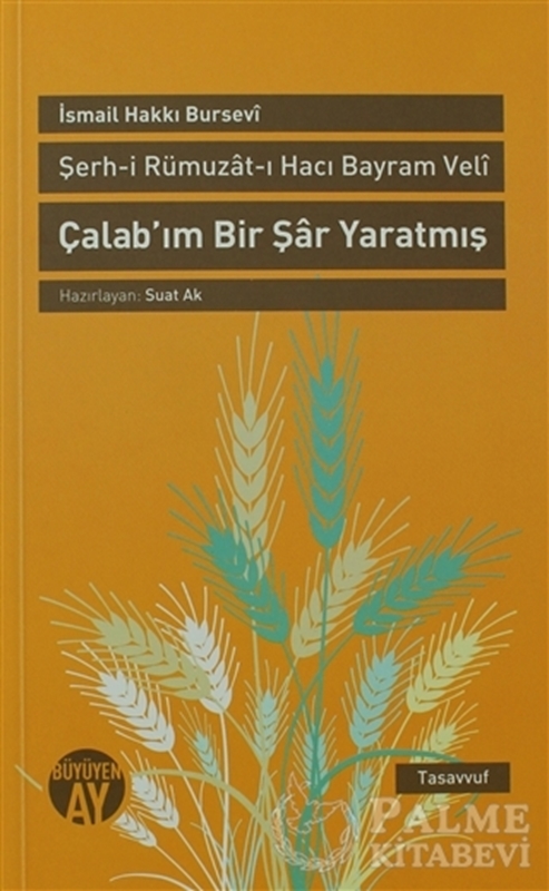 resm Şerh-i Rümuzat-ı Hacı Bayram Veli  - Çalab’ım Bir Şar Yaratmış