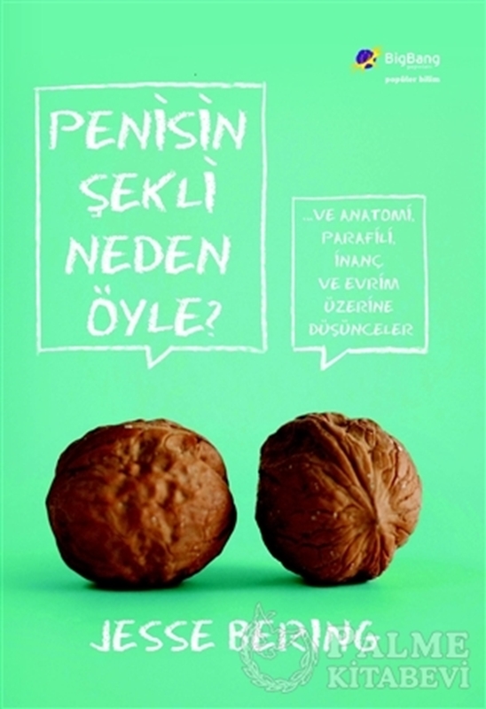 resm Penisin Şekli Neden Öyle?