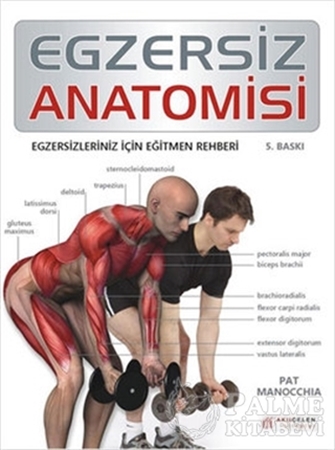 Resim Egzersiz Anatomisi
