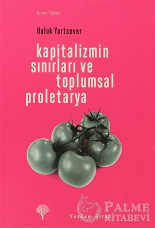 Resim Kapitalizmin Sınırları ve Toplumsal Proletarya