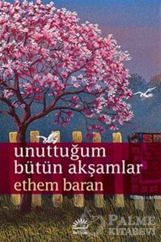 resm Unuttuğum Bütün Akşamlar