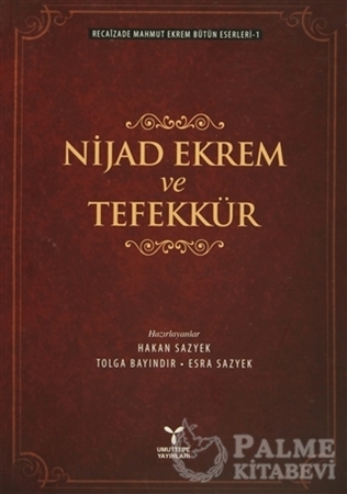 Resim Nijad Ekrem ve Tefekkür