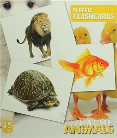 Resim Miracle Flashcards Animals