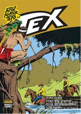 Resim Altın Klasik Teks - 41