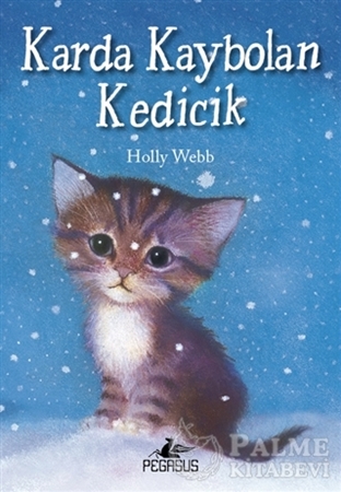 Resim Karda Kaybolan Kedicik