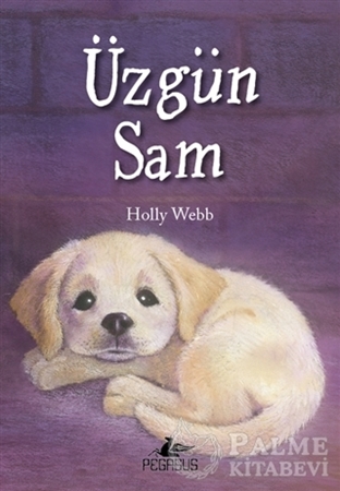 Resim Üzgün Sam