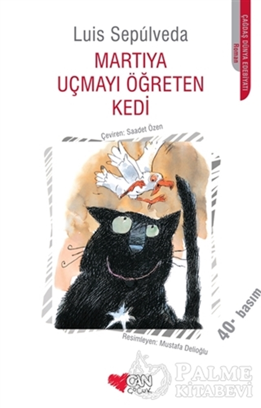 resm Martıya Uçmayı Öğreten Kedi