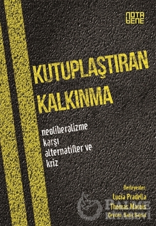 Resim Kutuplaştıran Kalkınma