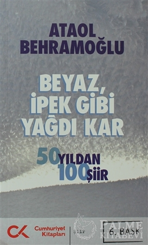 resm Beyaz İpek Gibi Yağdı Kar