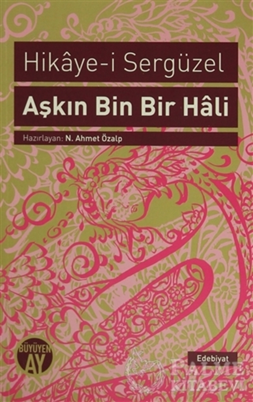 resm Aşkın Bin Bir Hali : Hikaye-i Sergüzel