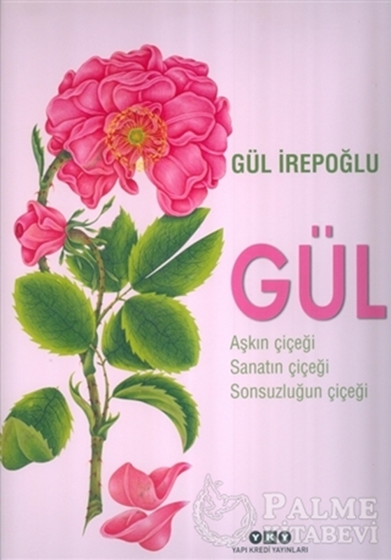 resm Gül : Aşkın Çiçeği, Sanatın Çiçeği, Sonsuzluğun Çiçeği