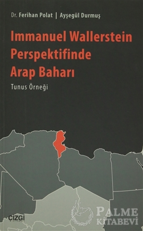 resm Immanuel Wallerstein Perspektifinde Arap Baharı Tunus Örneği