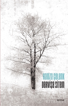 Resim Dervişe Sitem