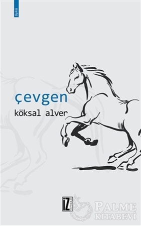 Resim Çevgen