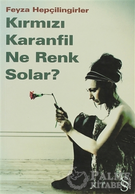 resm Kırmızı Karanfil Ne Renk Solar?