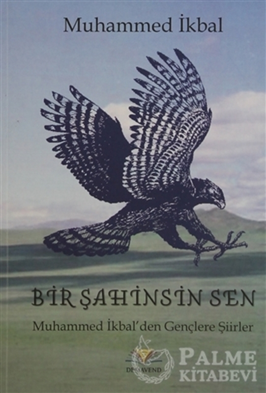 resm Bir Şahinsin Sen