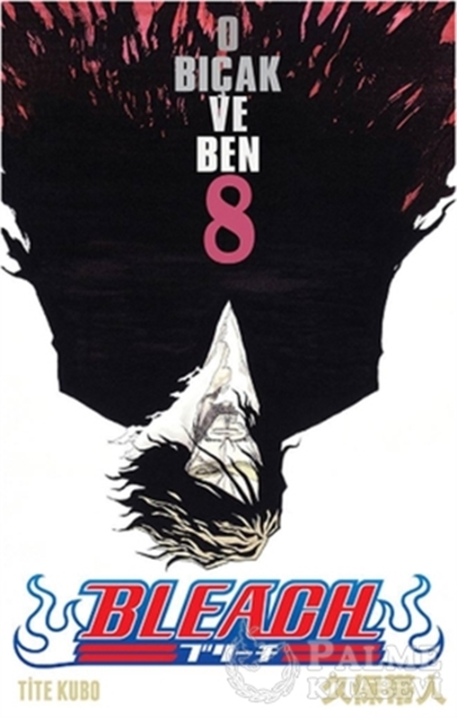 resm Bleach 8. Cilt