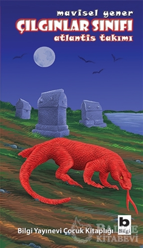 resm Çılgınlar Sınıfı