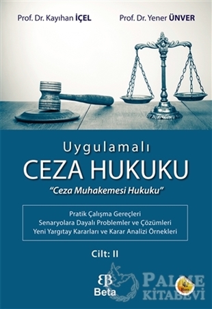 Resim Uygulamalı Ceza Hukuku Cilt II