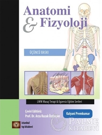 Resim Anatomi ve Fizyoloji